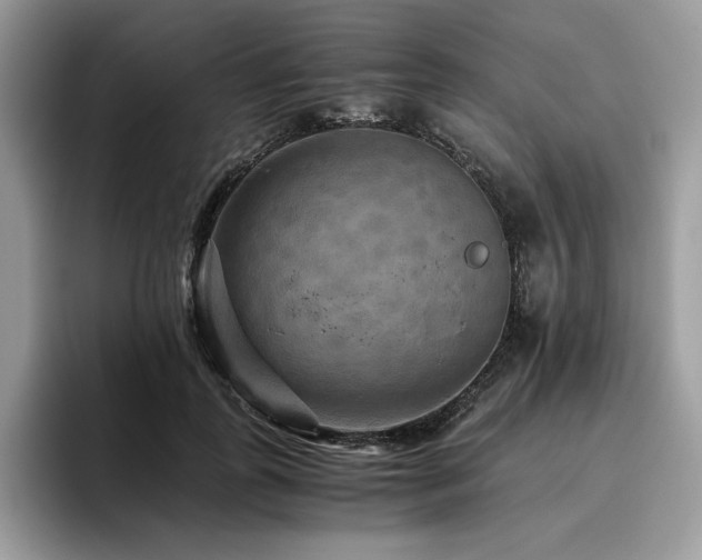 X0000096220747200801181450