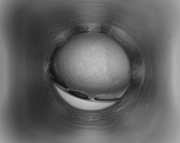 X0000096220748200801181450