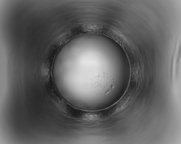 X0000096220749200801181450