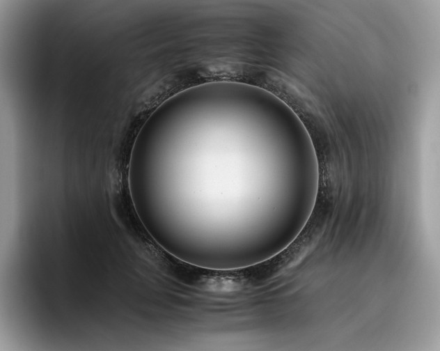X0000096220751200801181450