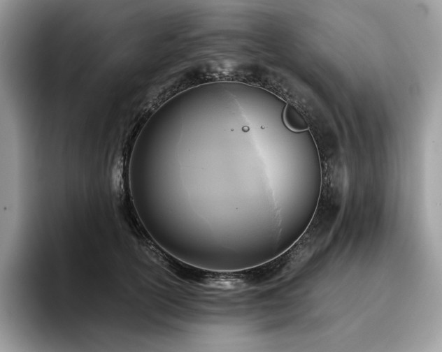 X0000096220754200801181450
