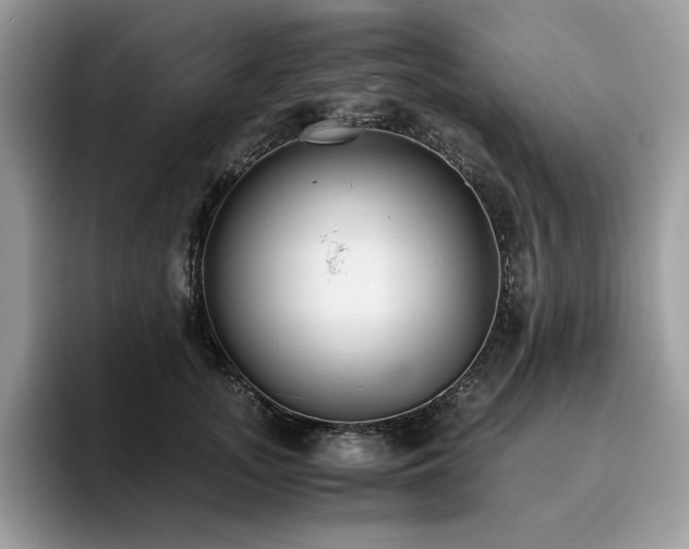 X0000096220755200801181450