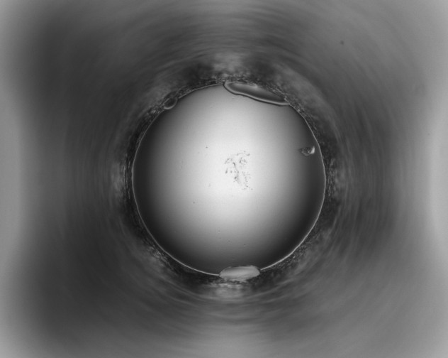 X0000096220756200801181450