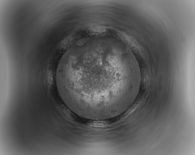 X0000096220758200801181450