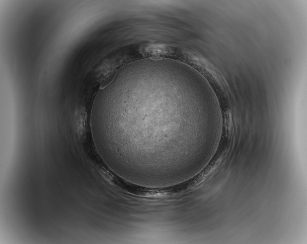 X0000096220760200801181450