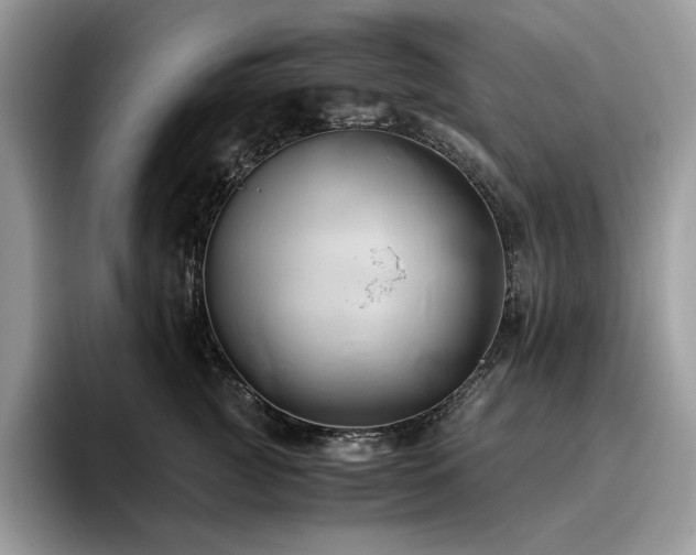 X0000096220761200801181450