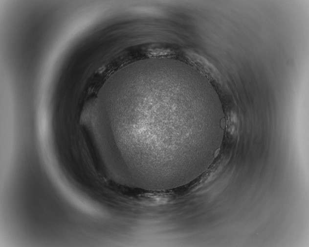 X0000096220763200801181450