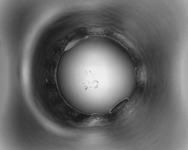 X0000096220764200801181450