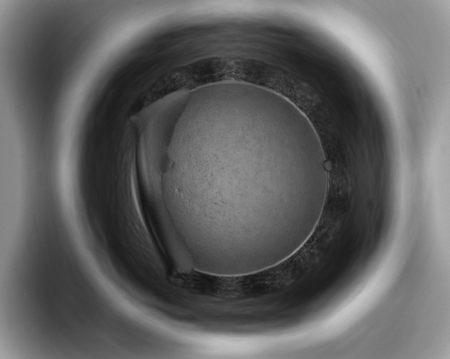 X0000096220766200801181450