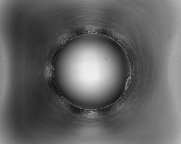 X0000096220768200801181450