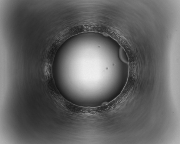 X0000096220770200801181450