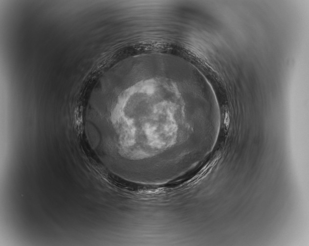 X0000096220771200801181450
