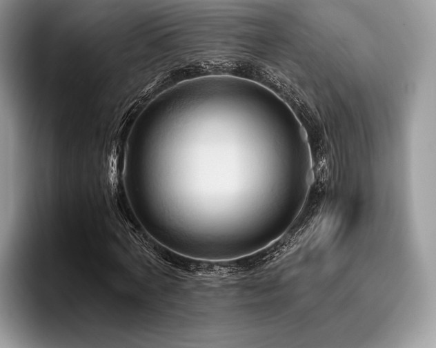 X0000096220772200801181450