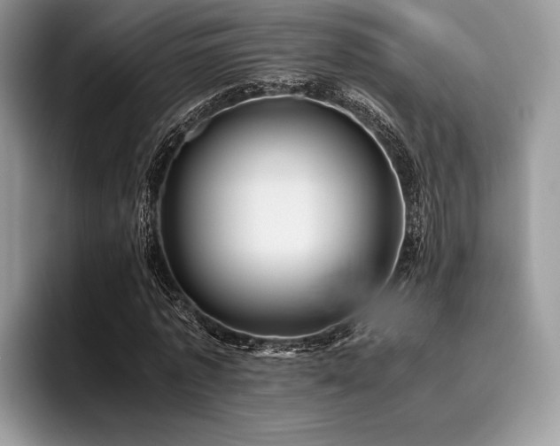 X0000096220773200801181450