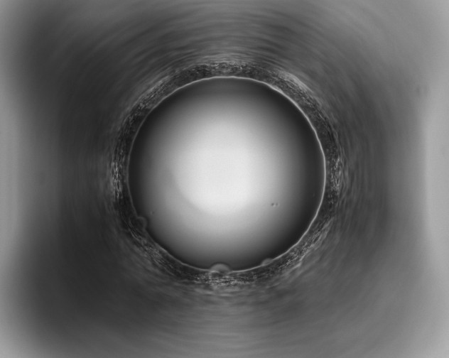 X0000096220774200801181450
