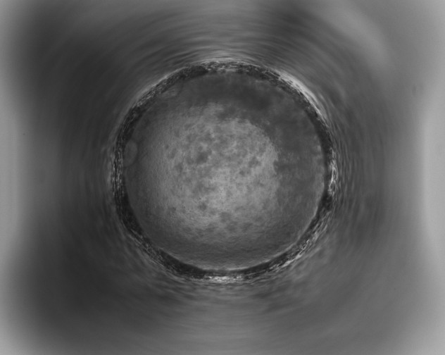 X0000096220775200801181450