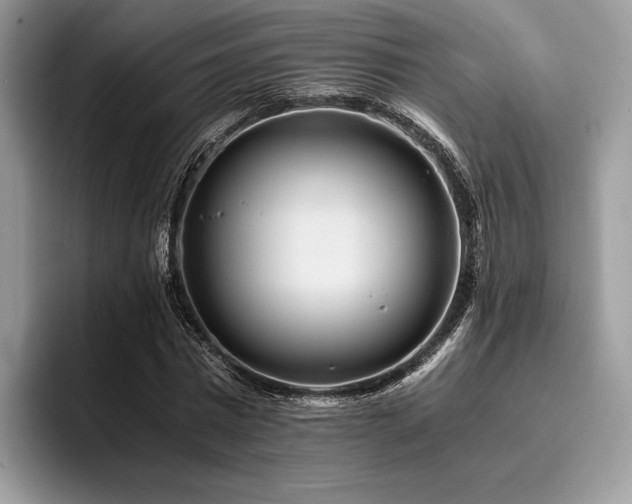 X0000096220777200801181450