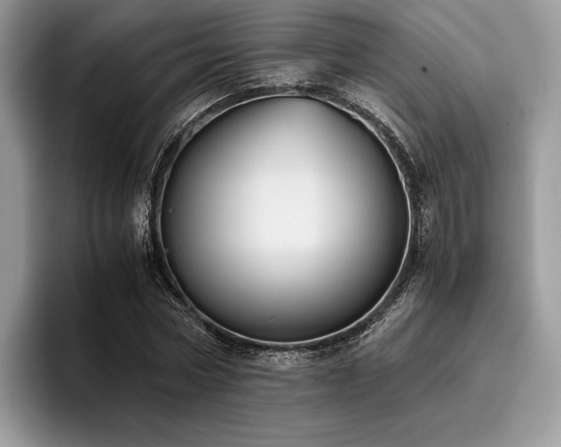 X0000096220778200801181450