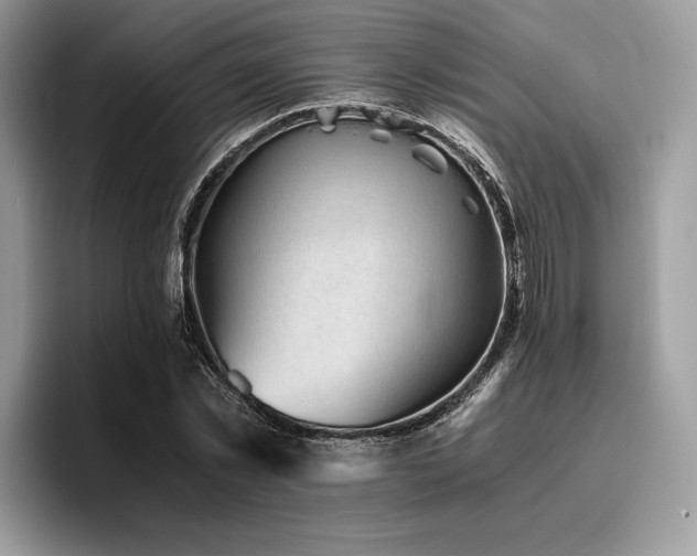 X0000096220781200801181450
