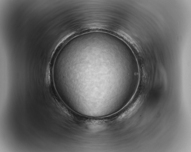 X0000096220782200801181450
