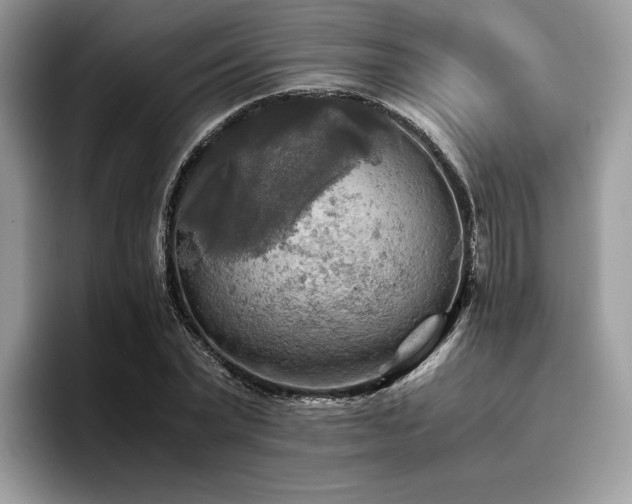 X0000096220783200801181450