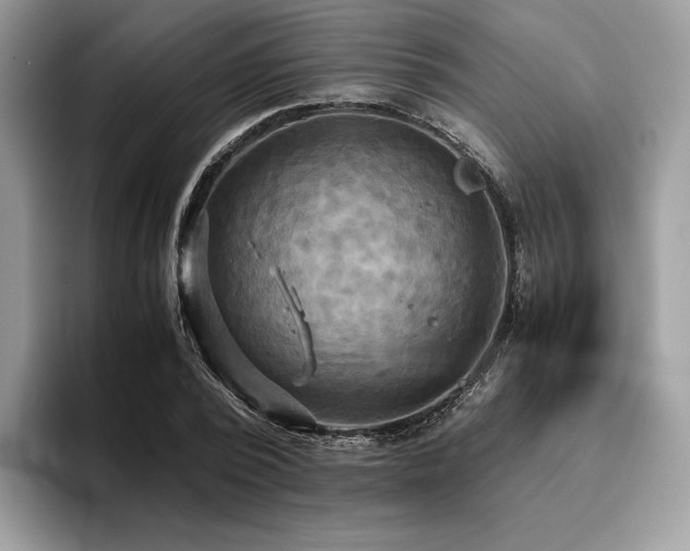 X0000096220784200801181450