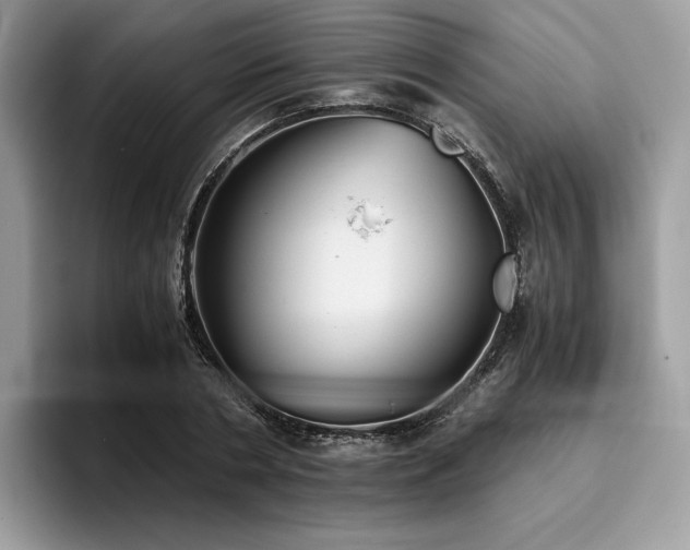 X0000096220786200801181450