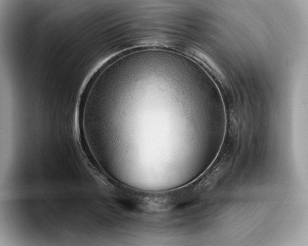 X0000096220788200801181450