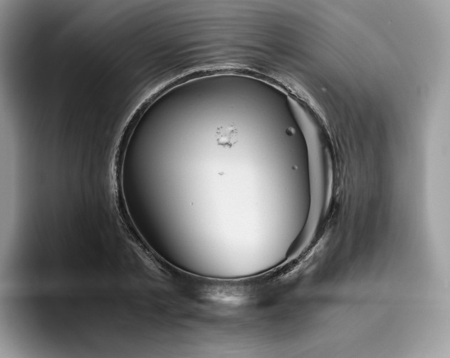 X0000096220789200801181449