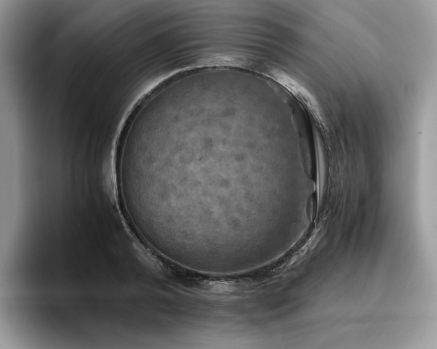 X0000096220792200801181449