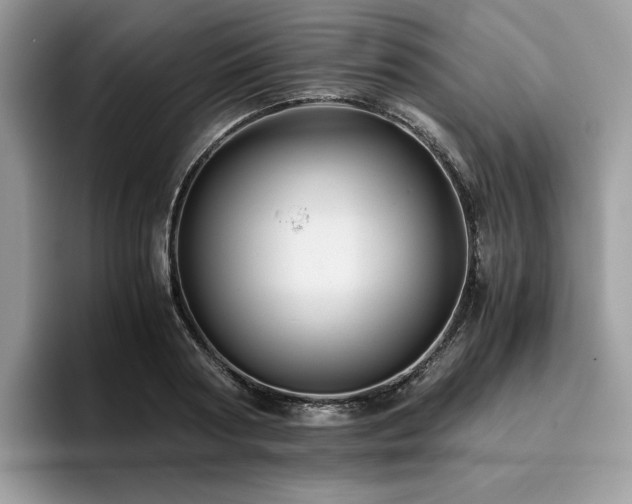 X0000096220794200801181449