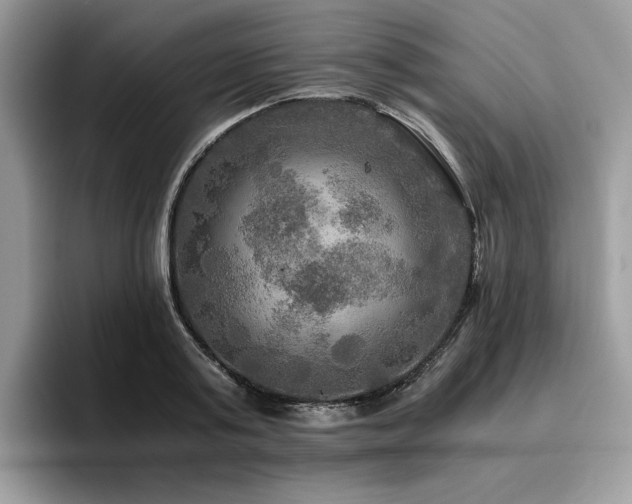 X0000096220795200801181449
