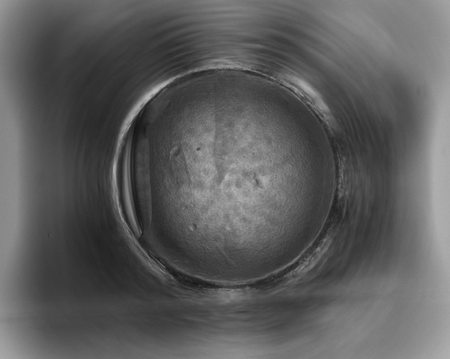 X0000096220796200801181449