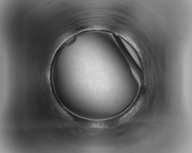 X0000096220797200801181449