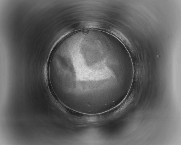 X0000096220798200801181449