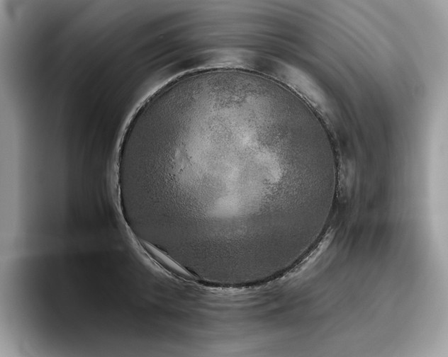 X0000096220800200801181449