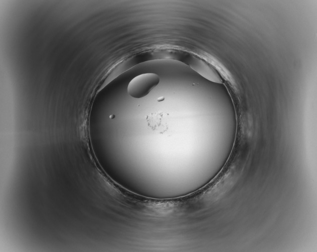 X0000096220801200801181449