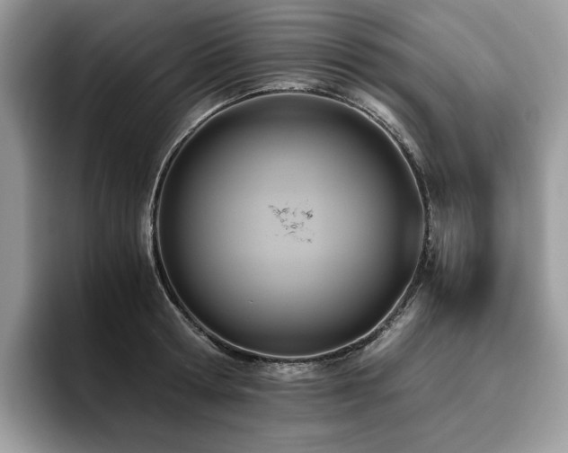 X0000096220802200801181449