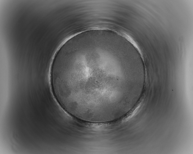 X0000096220803200801181449