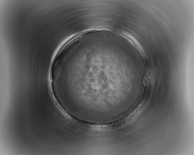 X0000096220804200801181449
