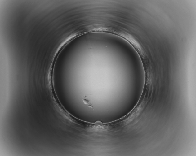 X0000096220806200801181449