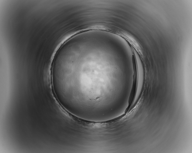 X0000096220808200801181449
