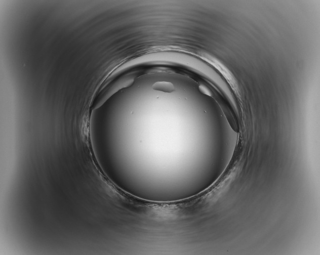 X0000096220809200801181449
