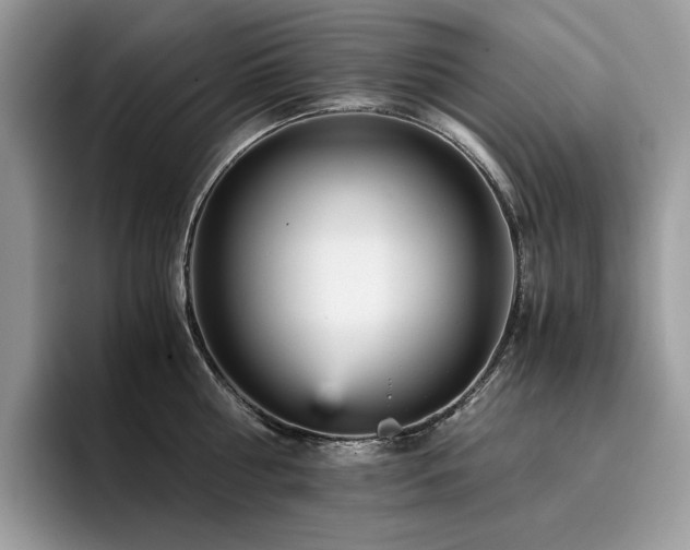X0000096220810200801181449