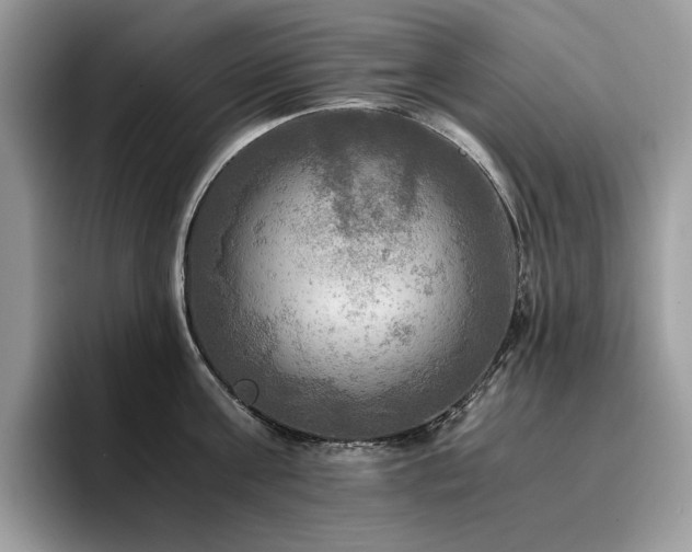 X0000096220811200801181449
