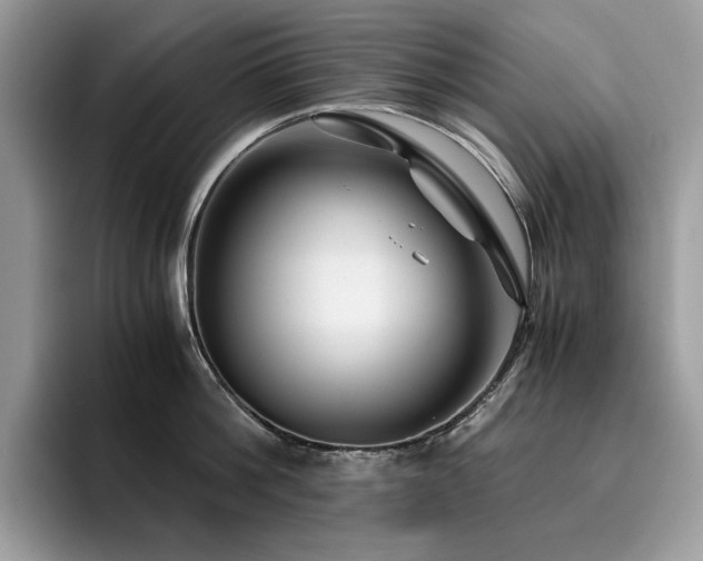 X0000096220812200801181449