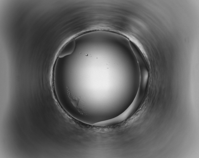 X0000096220815200801181449