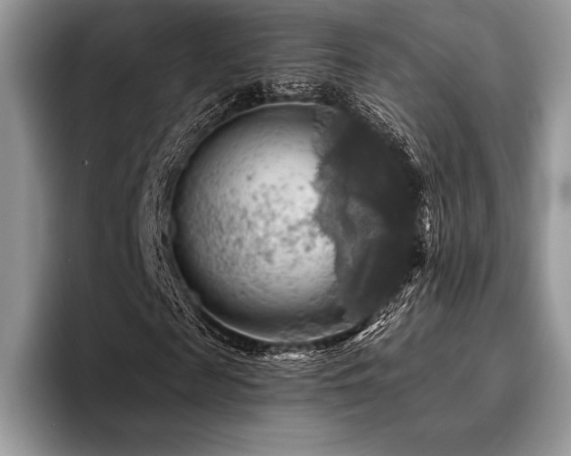 X0000096220817200801181449
