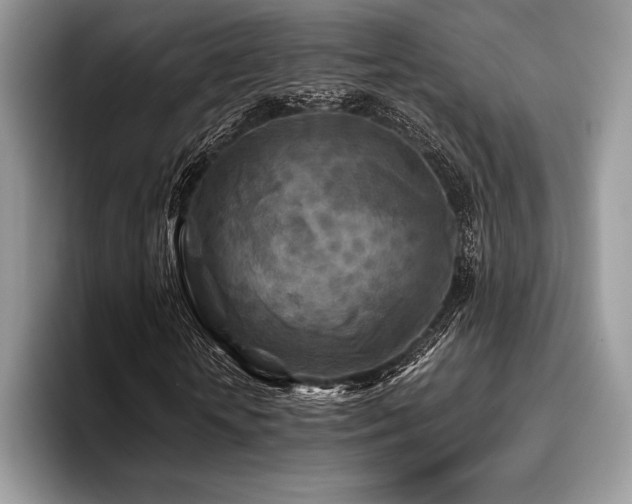 X0000096220818200801181449