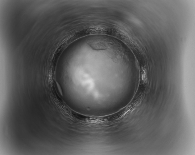 X0000096220819200801181449